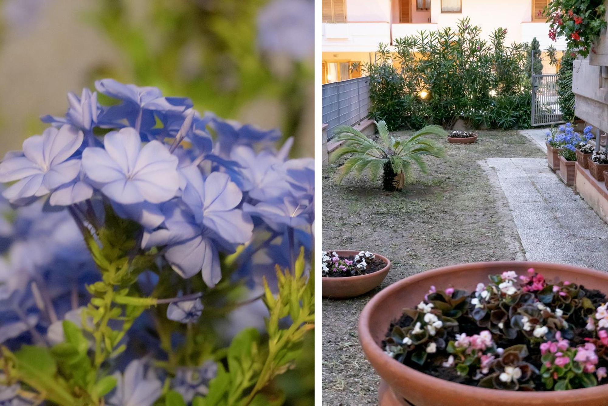 Appartamento Il Giardino Civitanova Marche Esterno foto